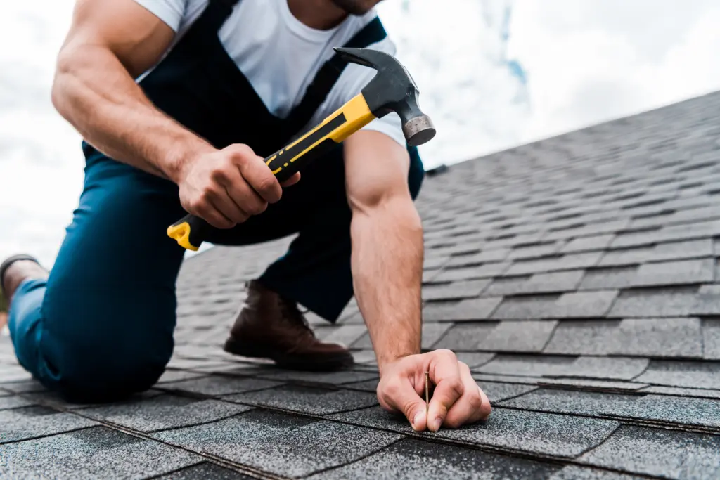 Shingle Roof